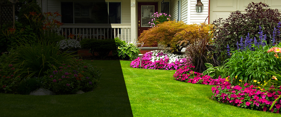 Mount Airy Landscapers